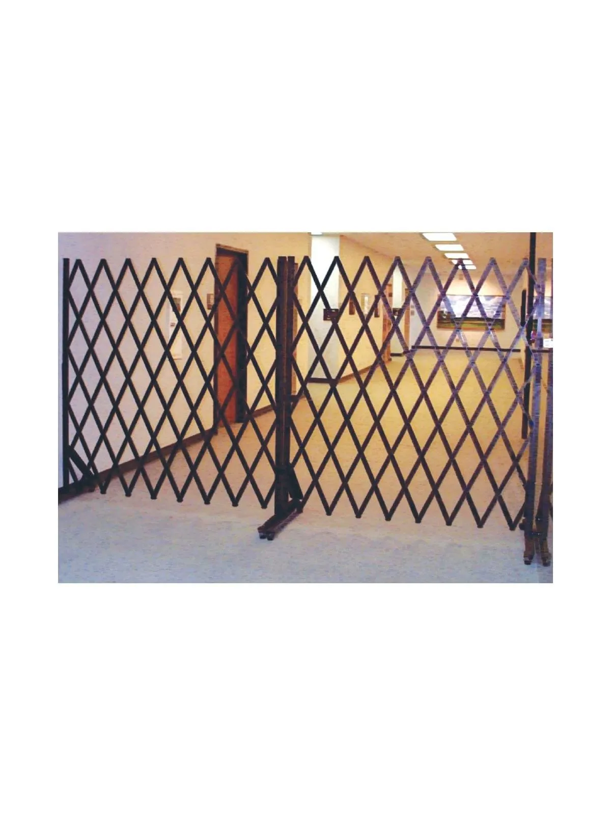 Economy Portable Security Gates